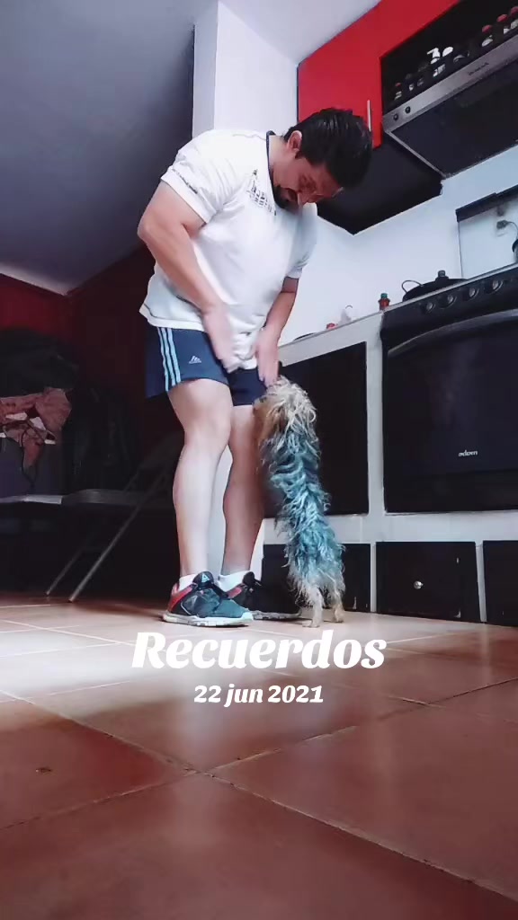 @Charly Reynoso