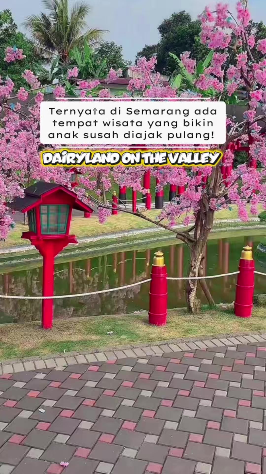 @arryannt