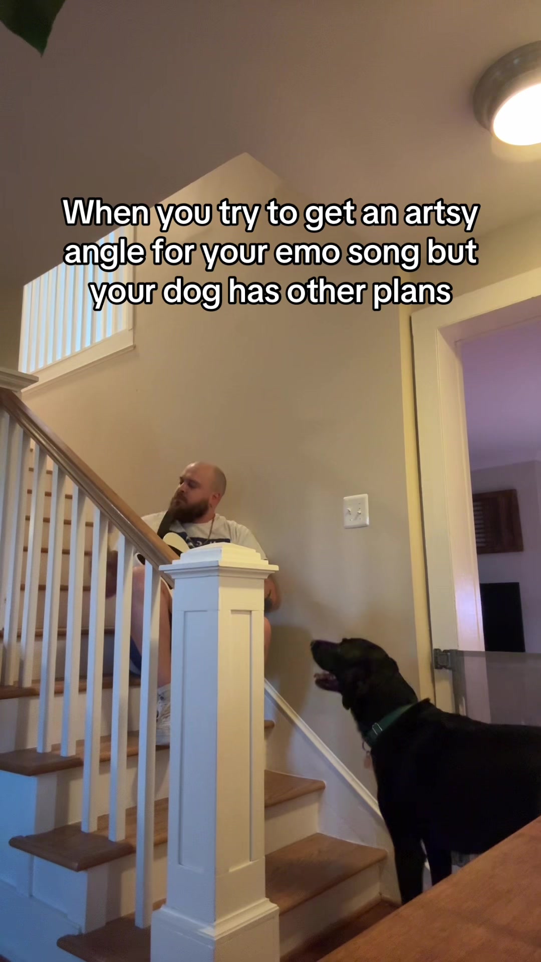 @pulses.