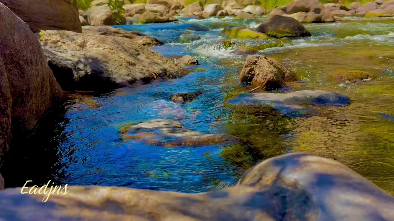 @eadjns