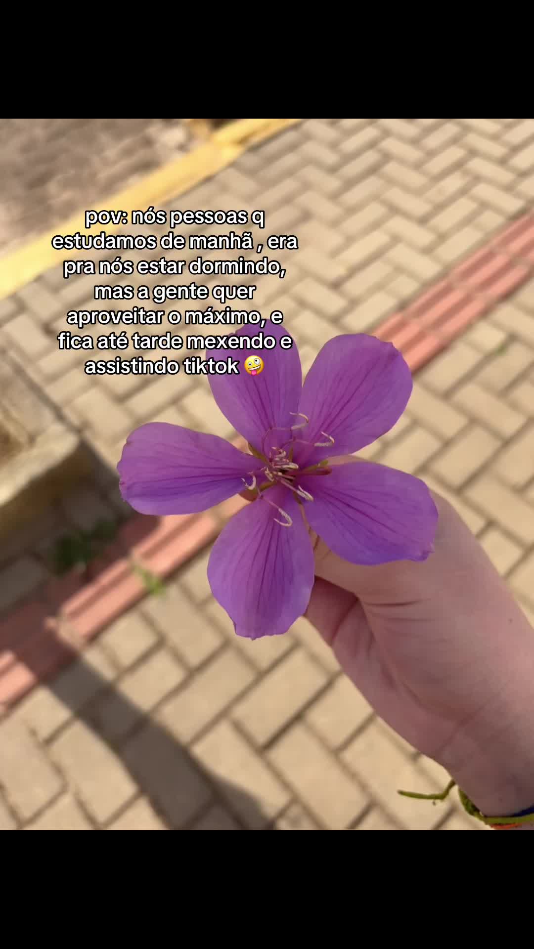 @💗🌟Vickzinha 🌟💗