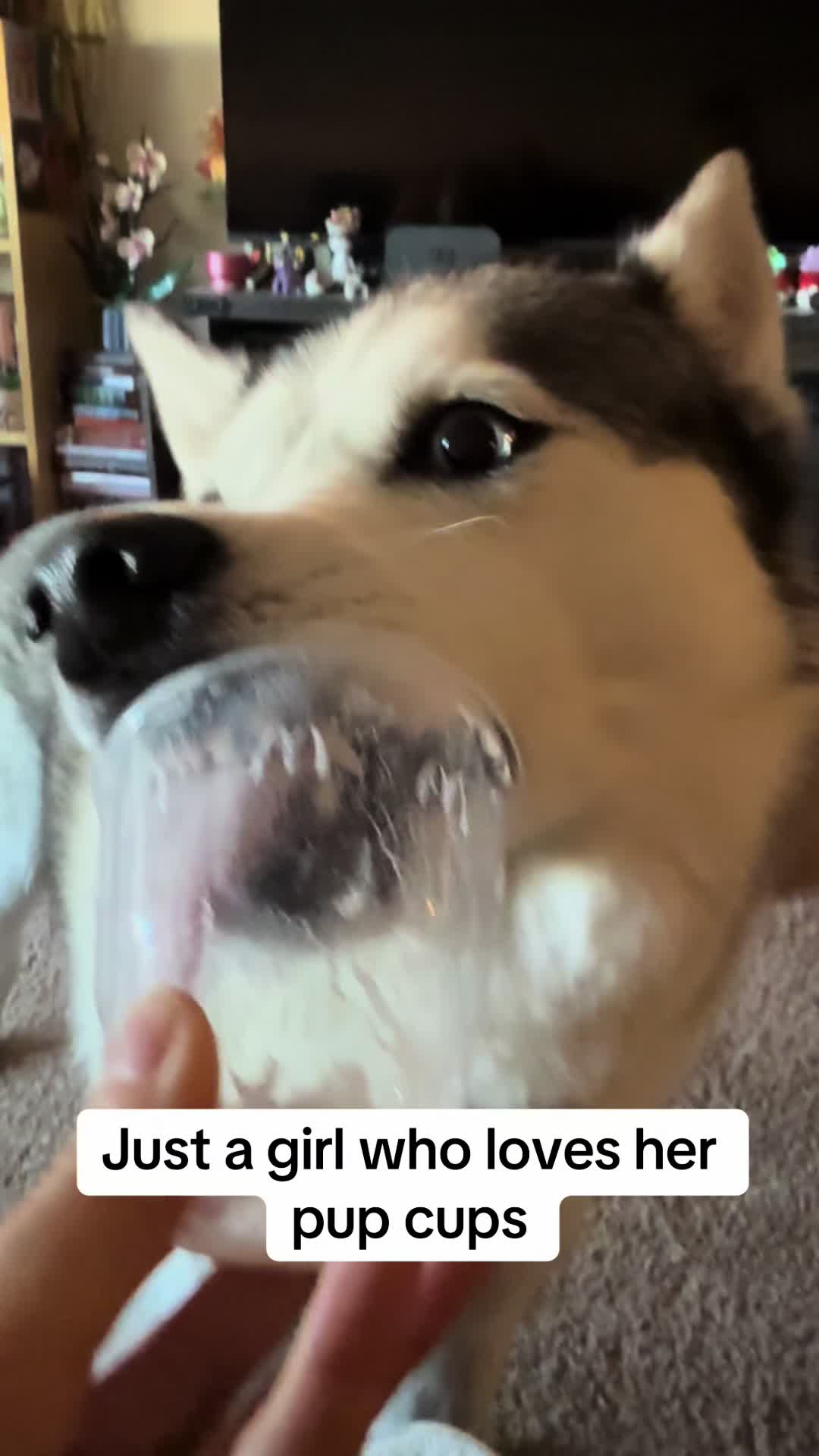 @sithlady