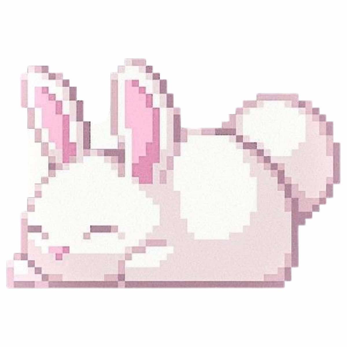 @🐰