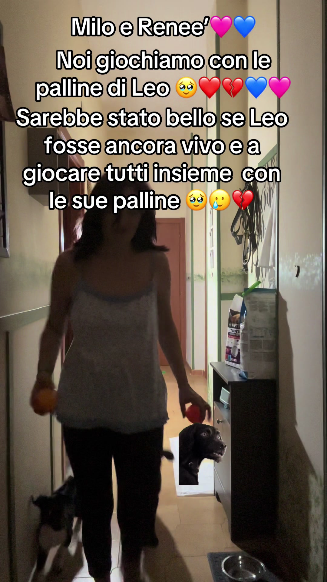 @Carmela Capone