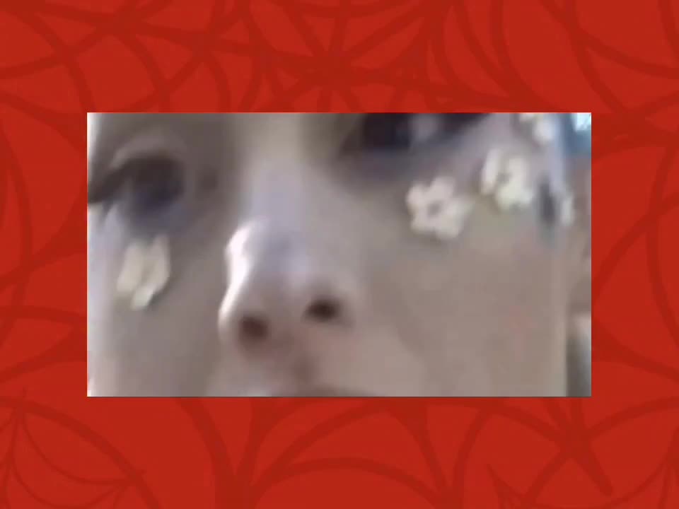 @𝒩 ꕤ 。˚⋆