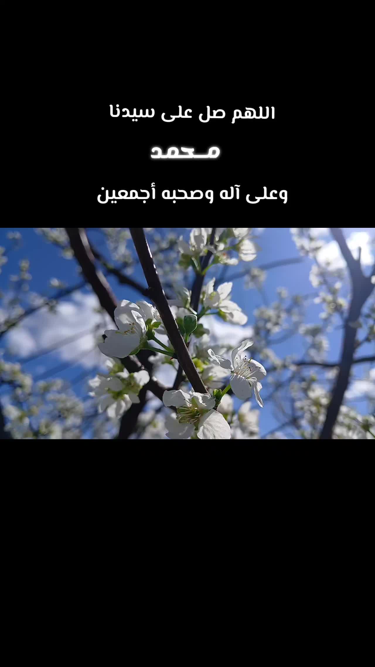 @❥︎ 𝑶𝒎 𝑨𝒅𝒂𝒎 ❥︎