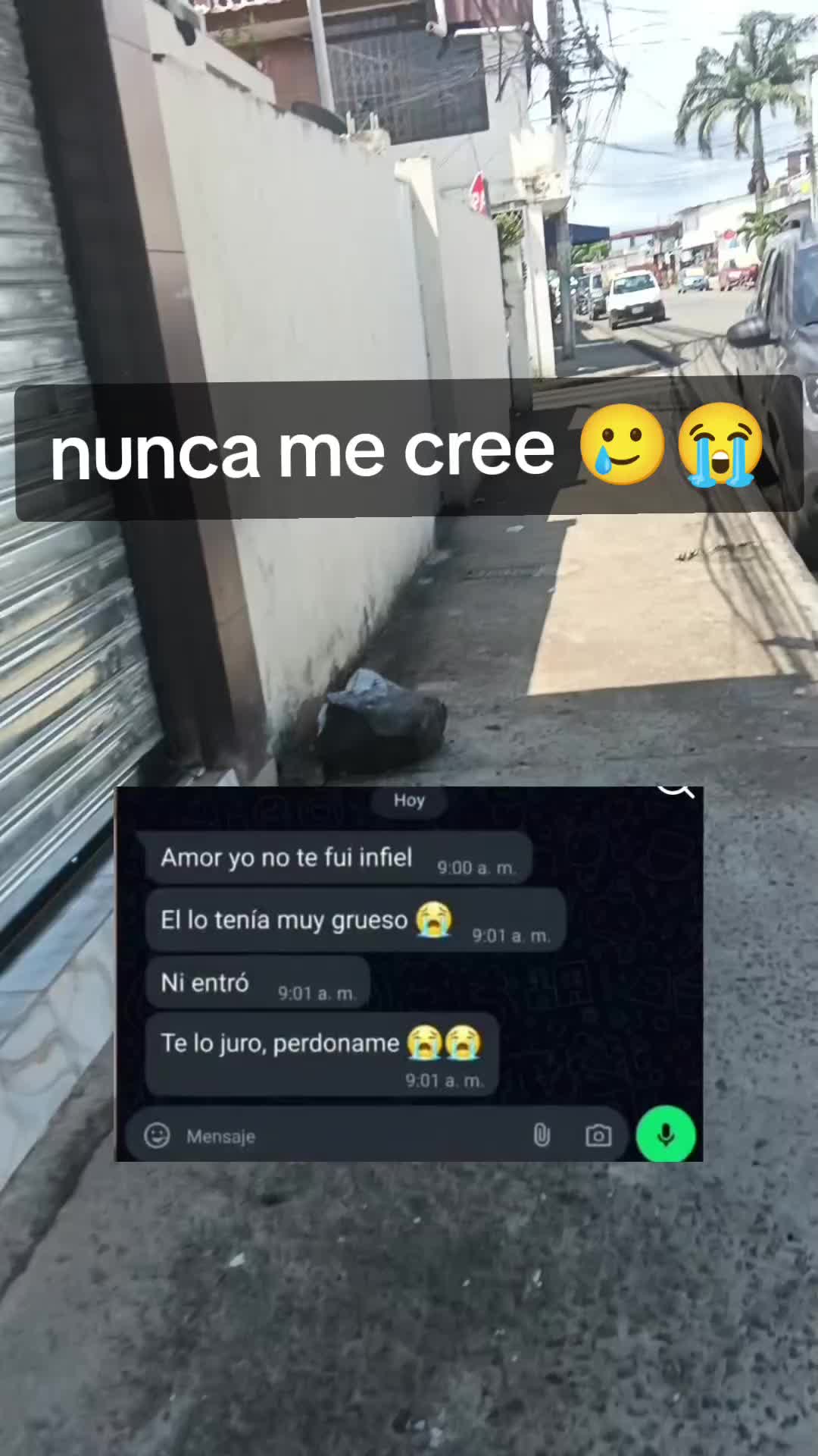 @El Chatazo