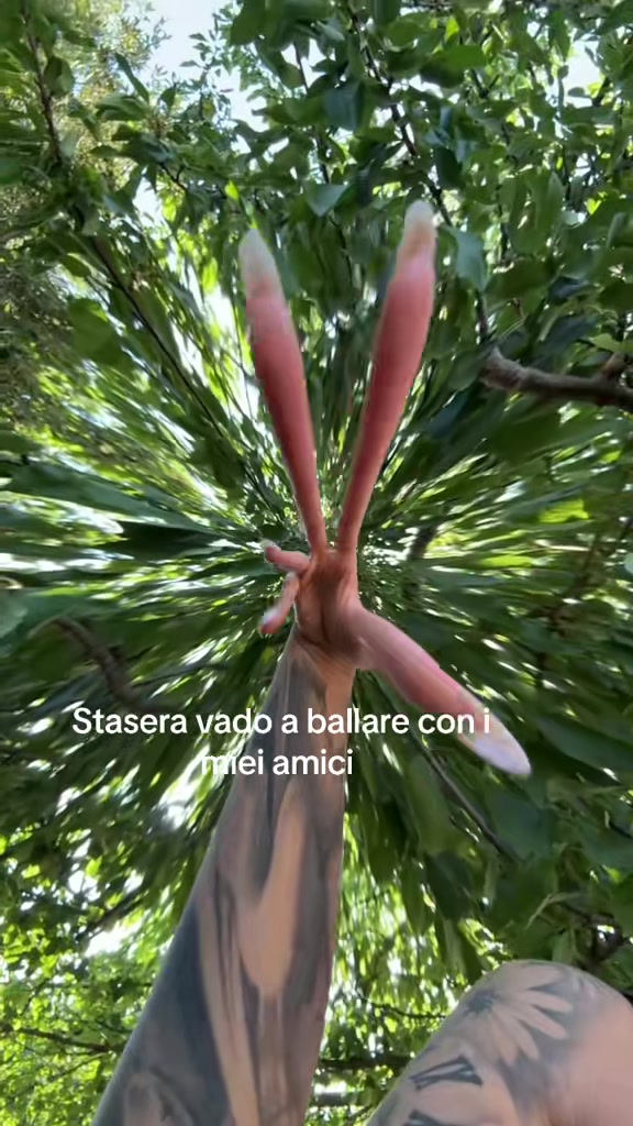@Ramonacatcat