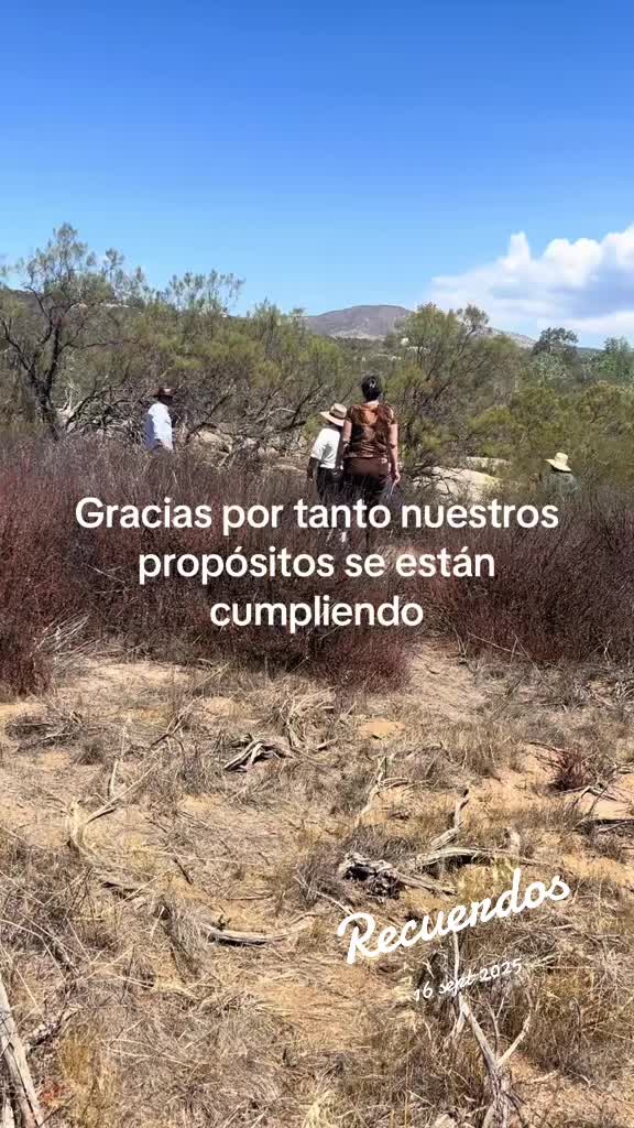 @yesysanchez1402