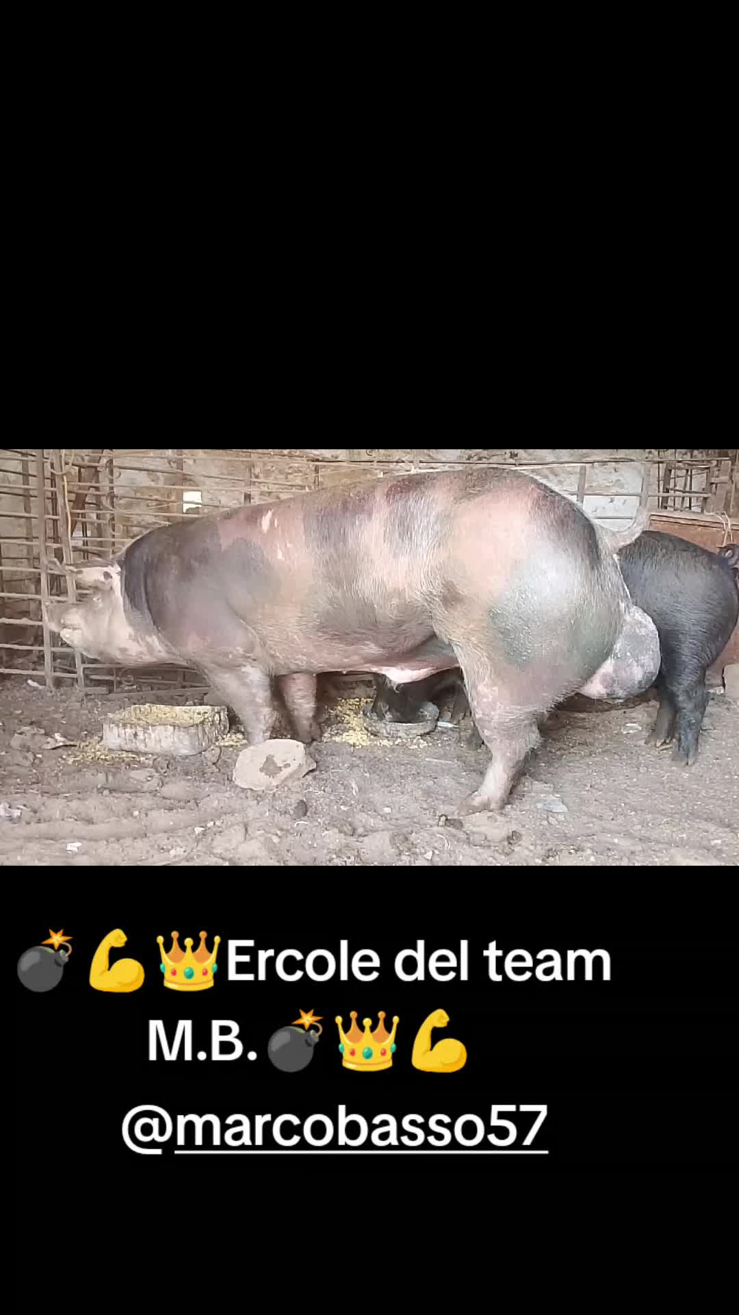 @Stefano Zagara