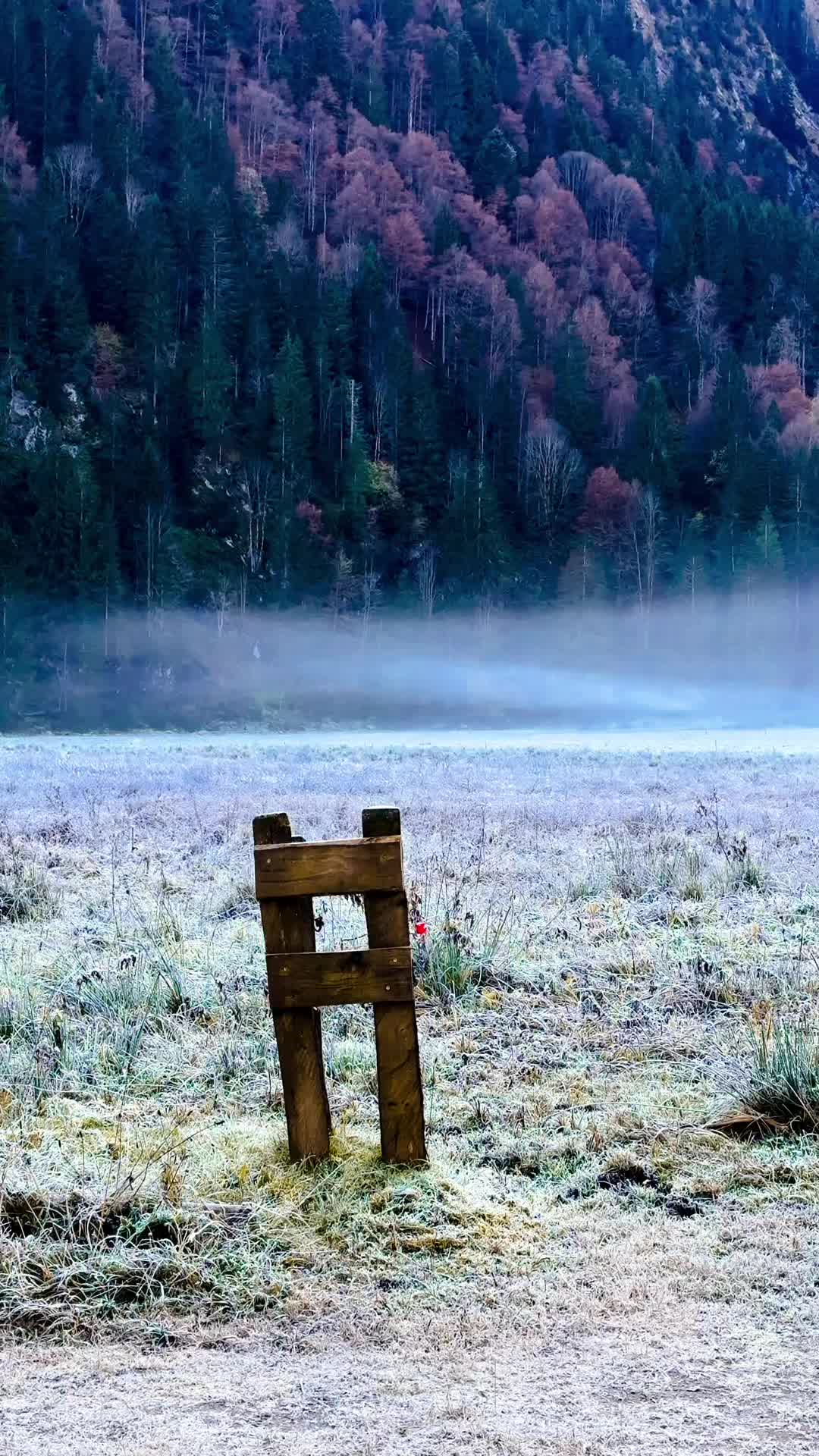 @☀️Elena🌜☘️🌾🌻🌺