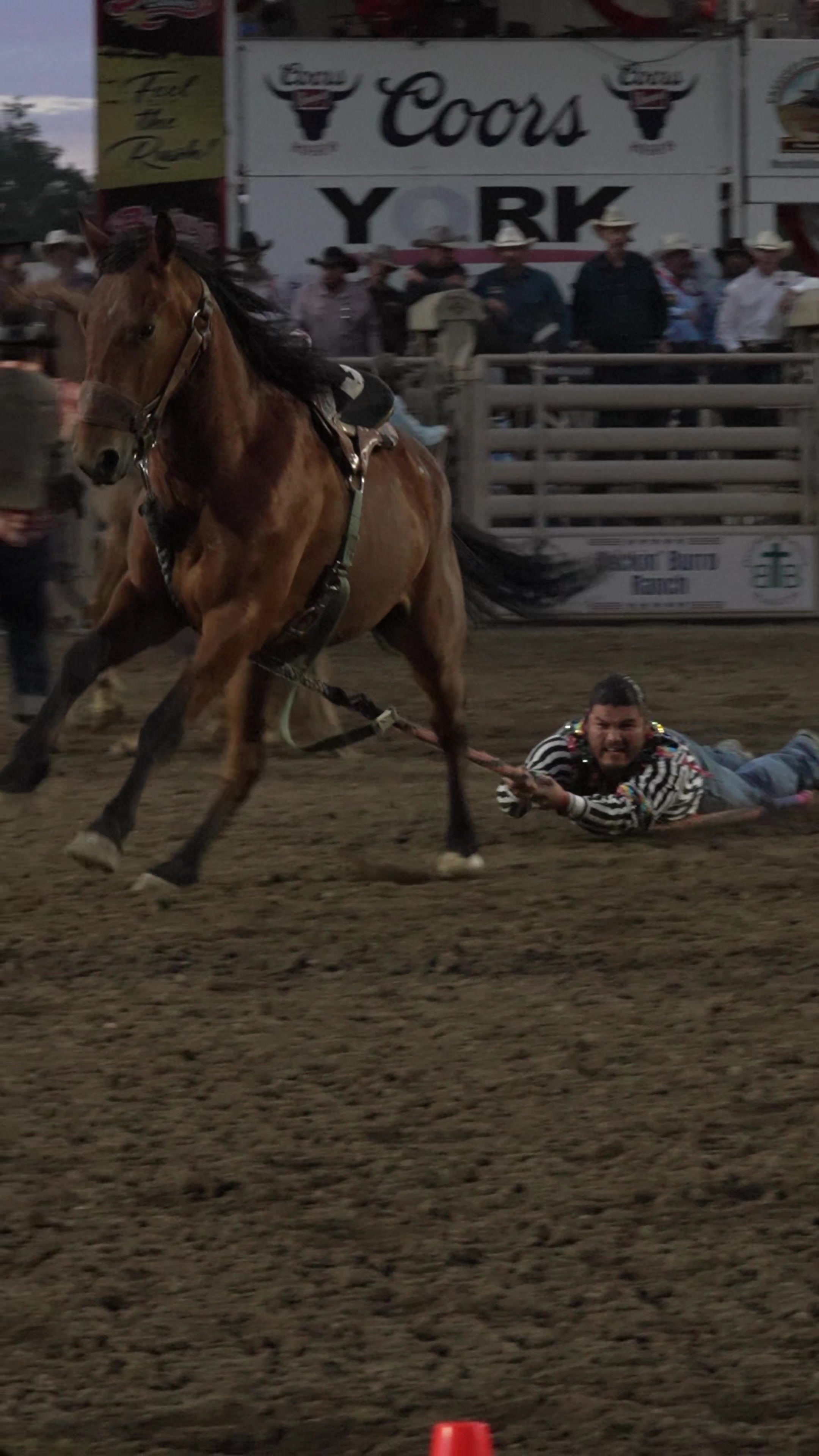 @Talk Rodeo To Me