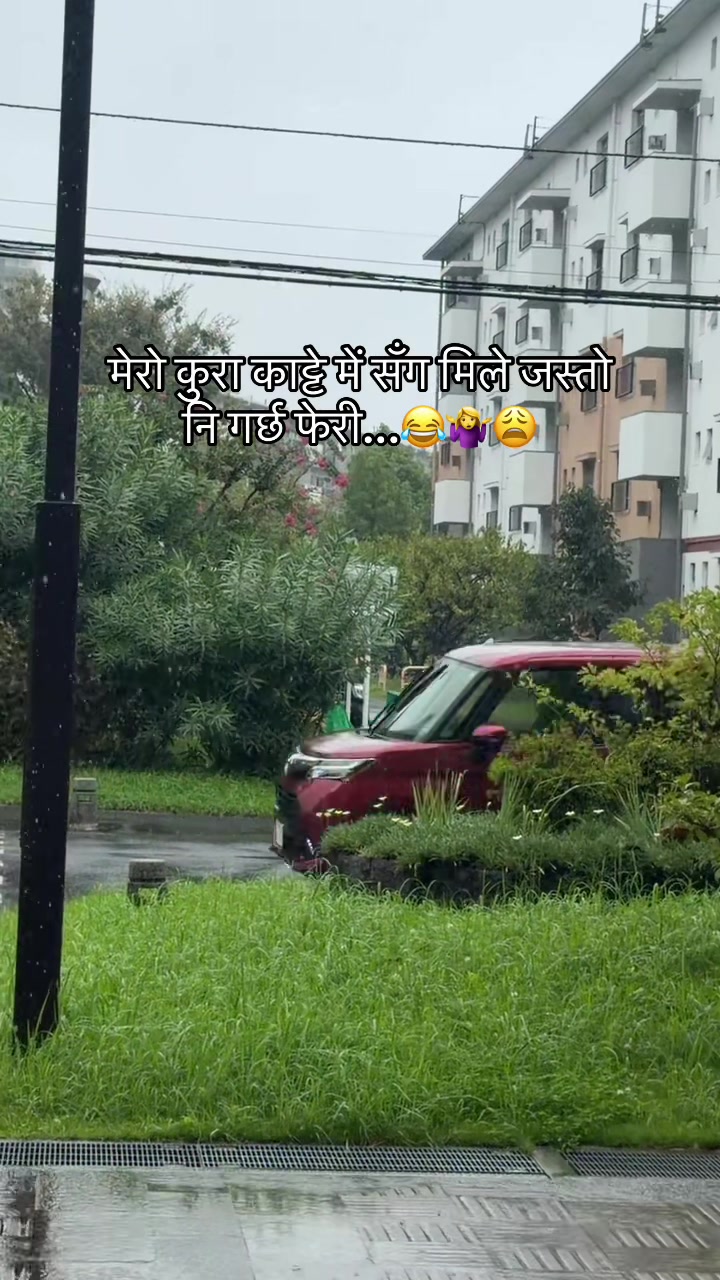 @🕊️