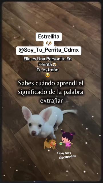 @🐶🐍Rᴏᴋᴇʀɪᴛᴀ_Cdmx💛💙🦅