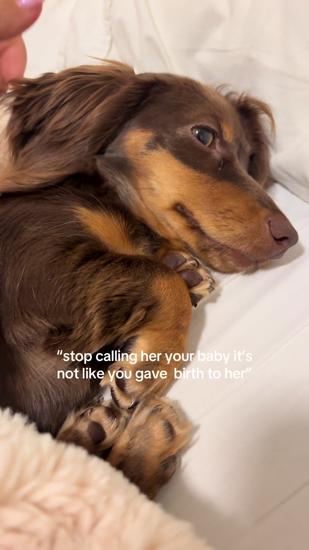 @It&rsquo;s Frankie Girl