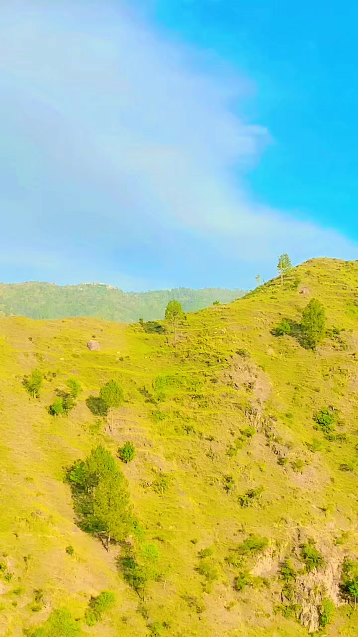 @🕊️فواد---💓