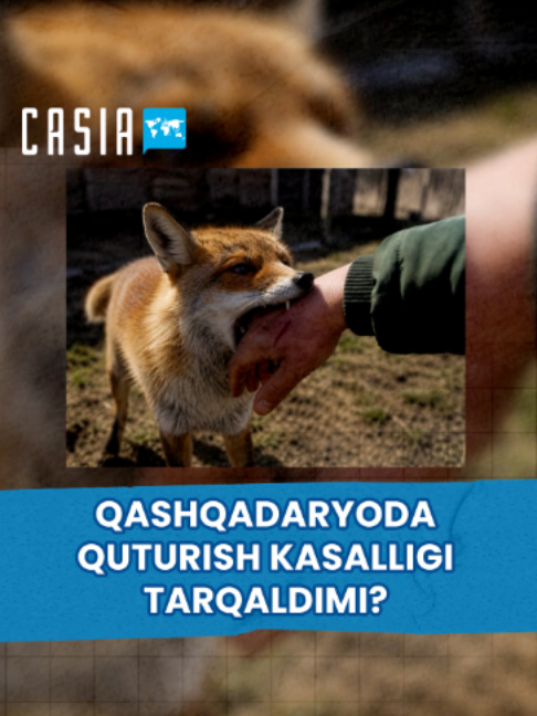 @Casia