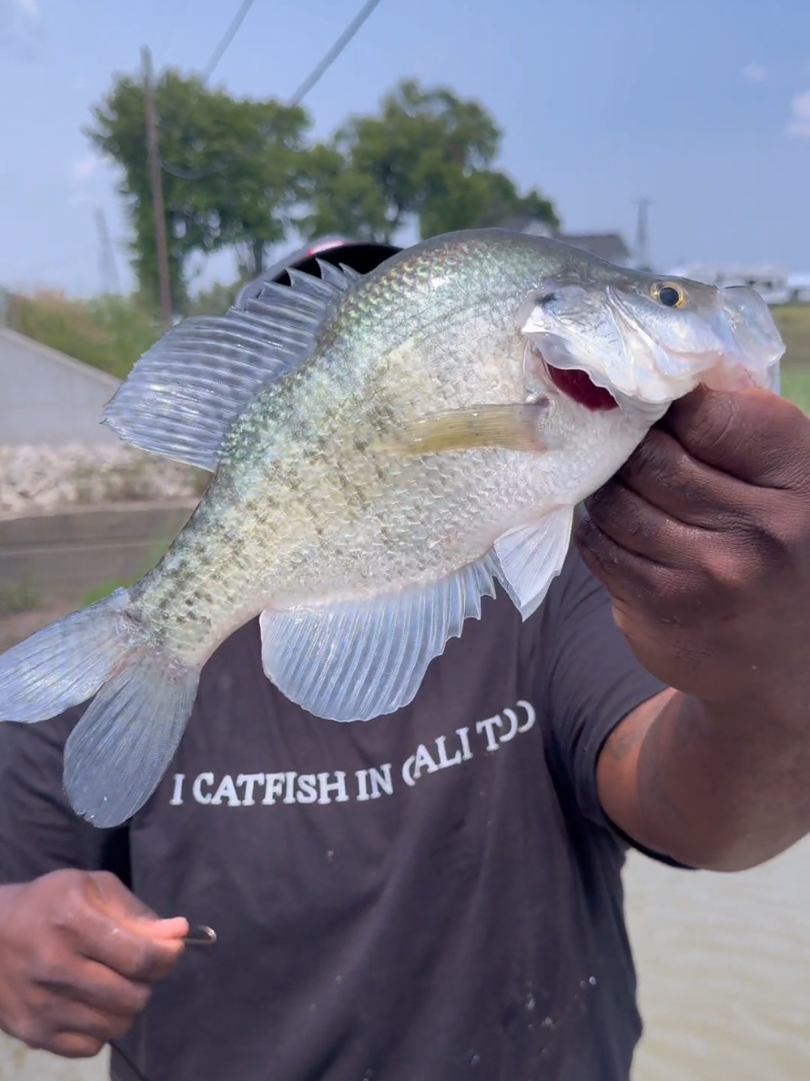 @ALOF TV