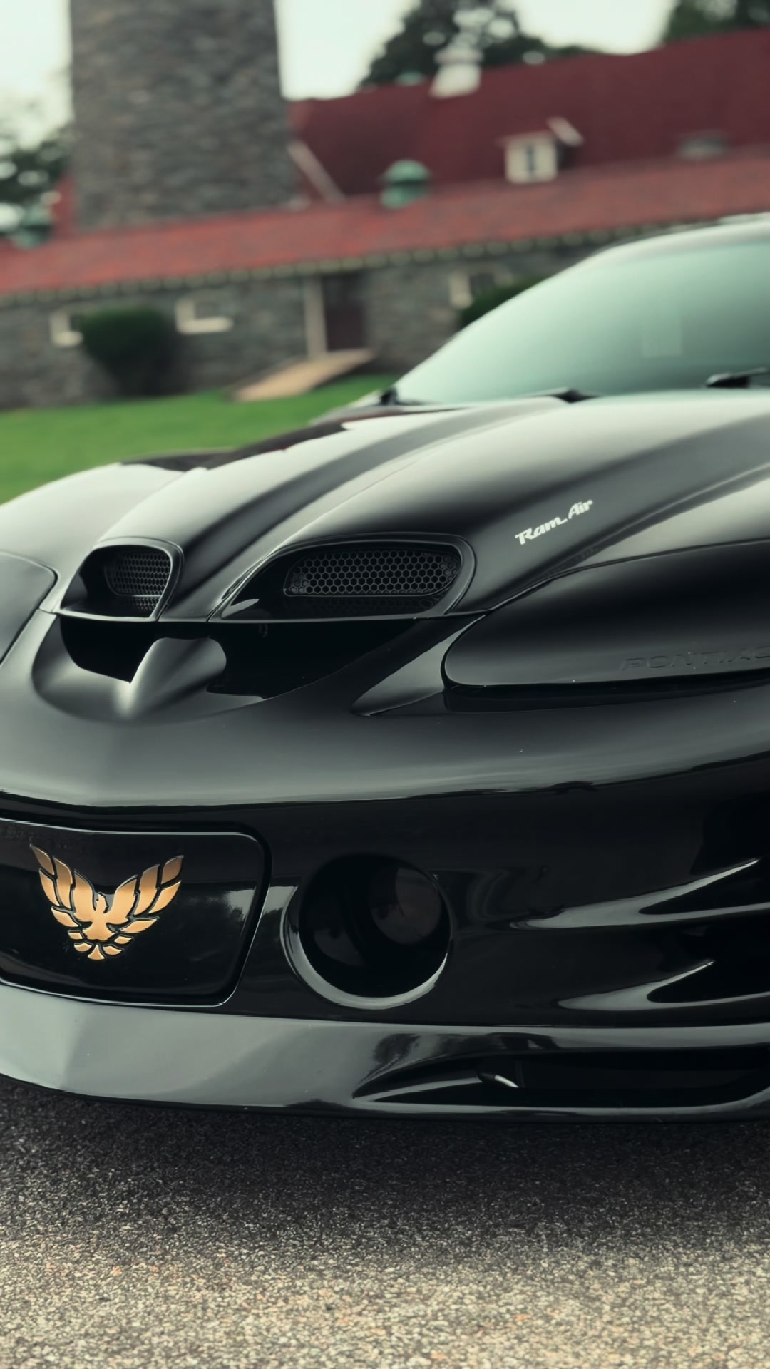 @Scatpack Bee 🐝