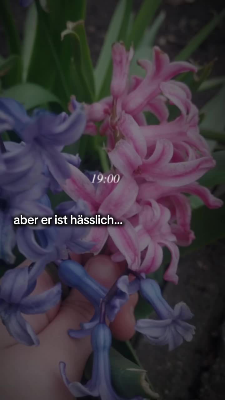 @๐ฅ๐ถ๐๐๐พ๐๐ท