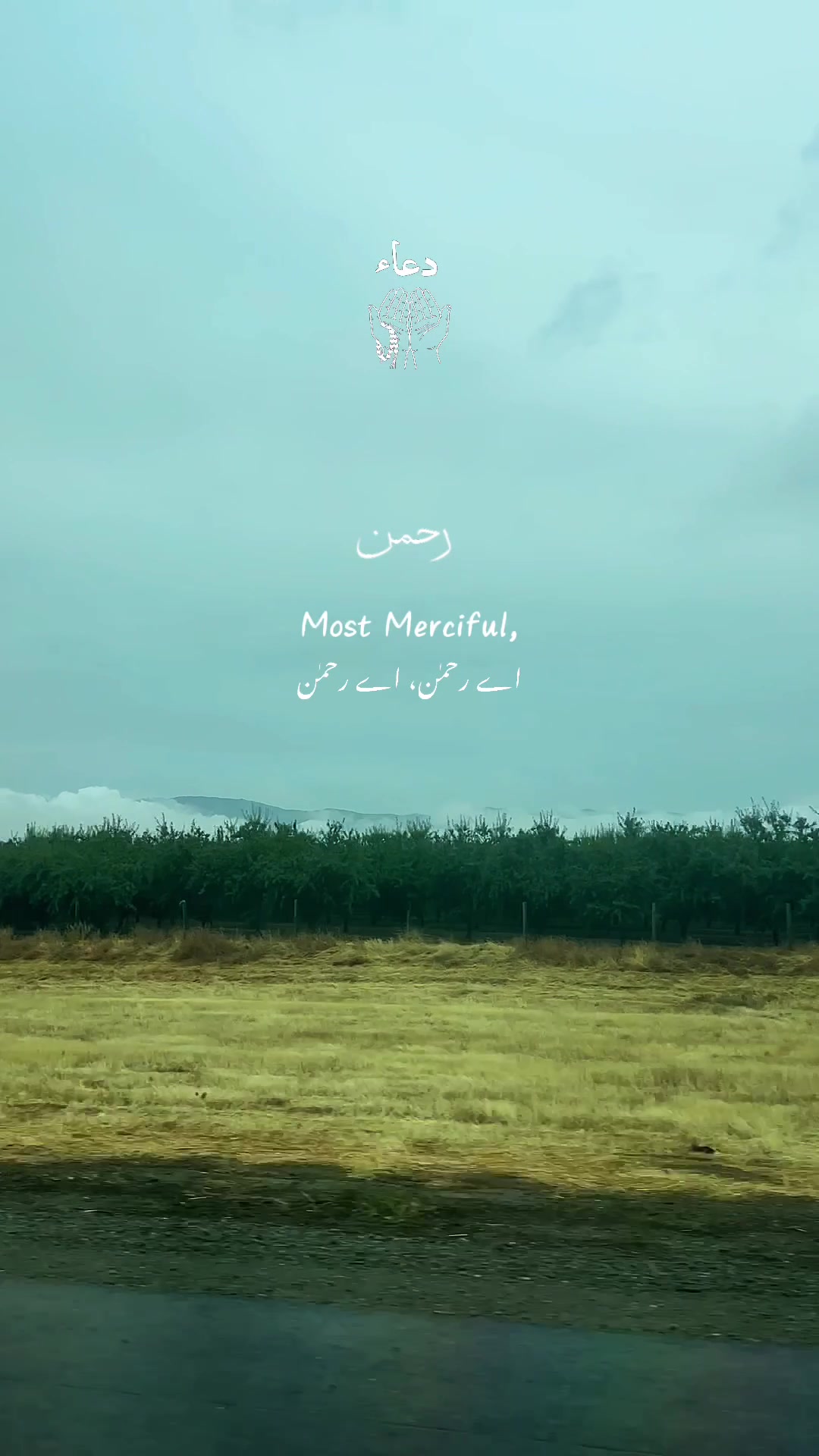 @Mursal