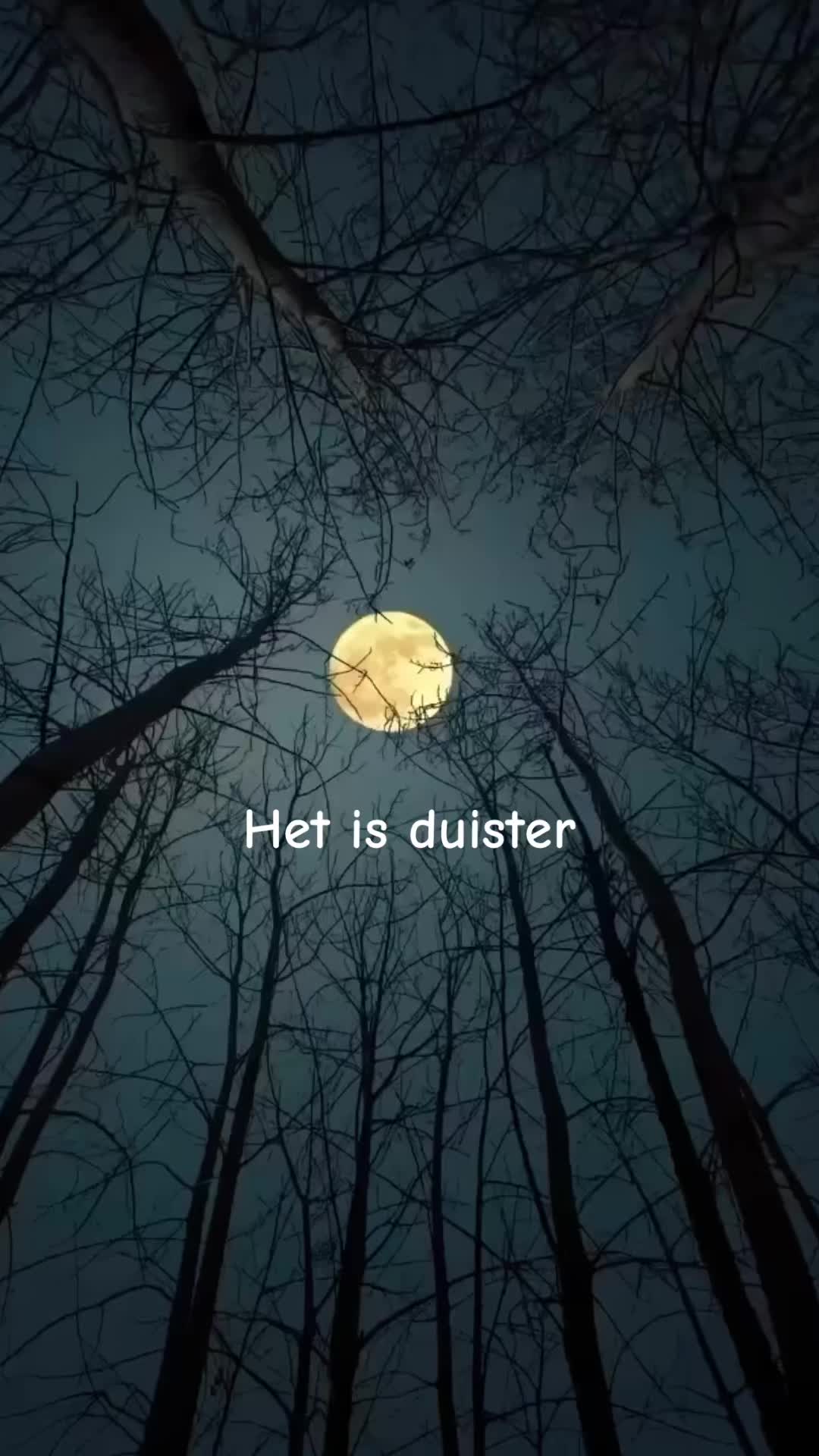 @vibeverse_lyrics