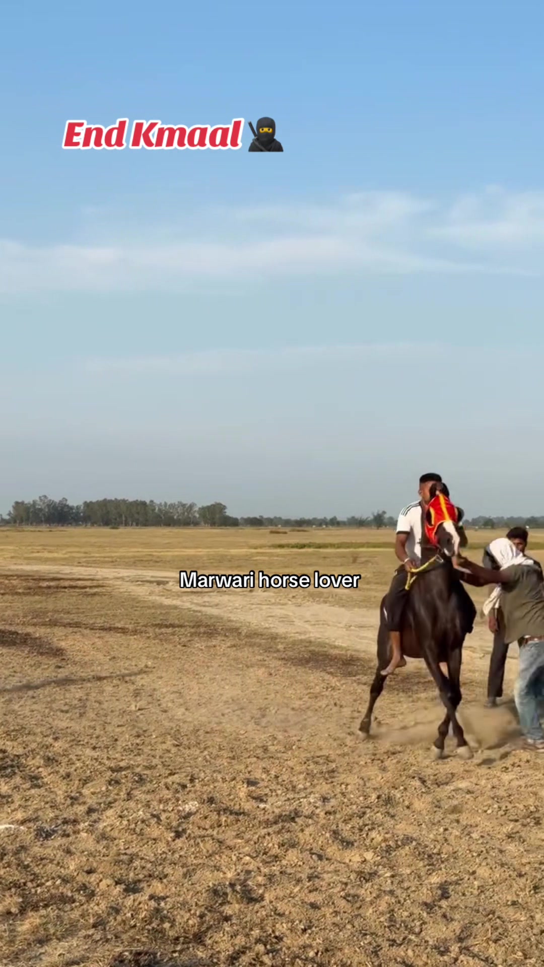 @🏇 MARWARI HORSE RACING 🏇
