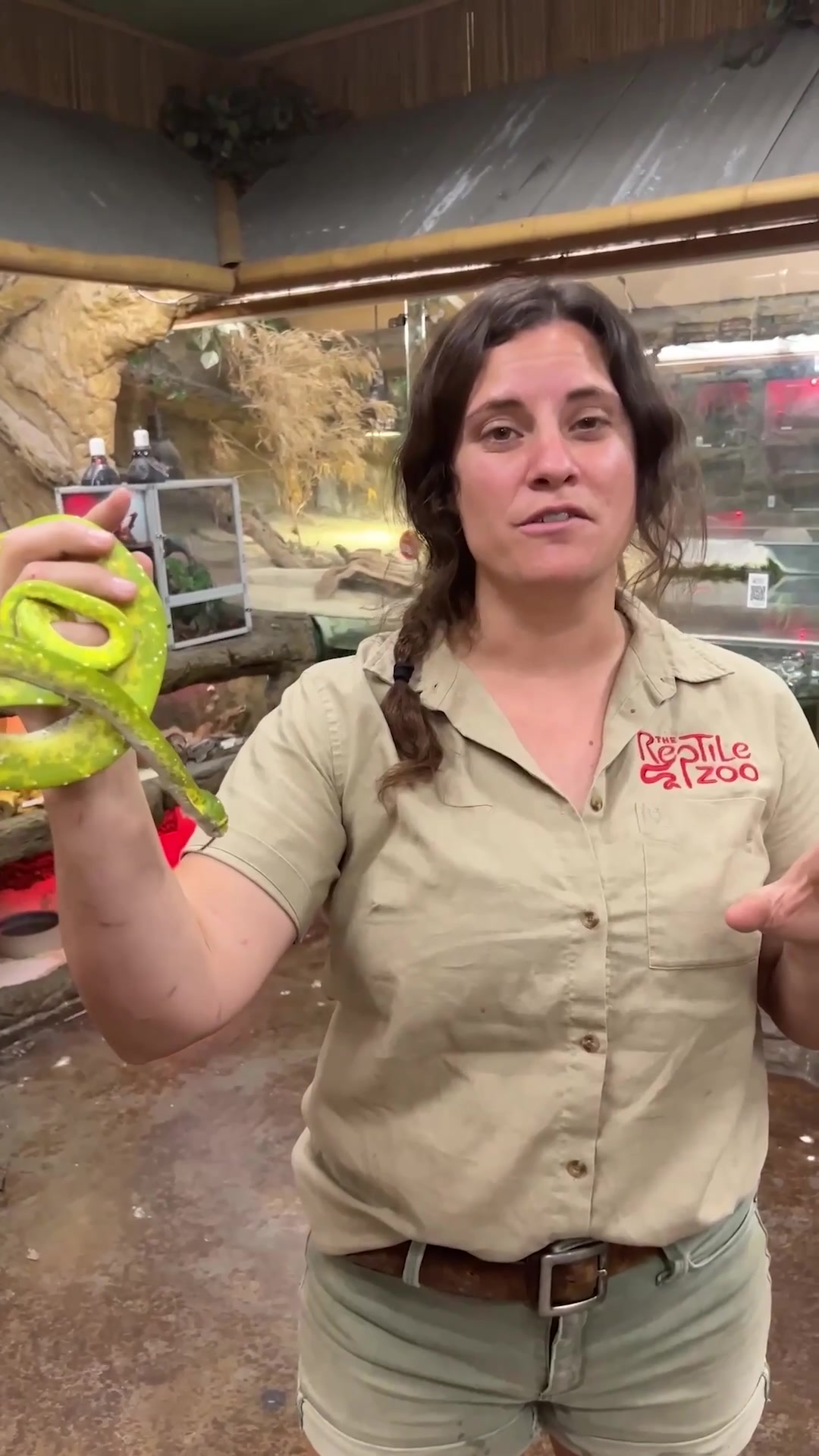 @The Reptile Zoo