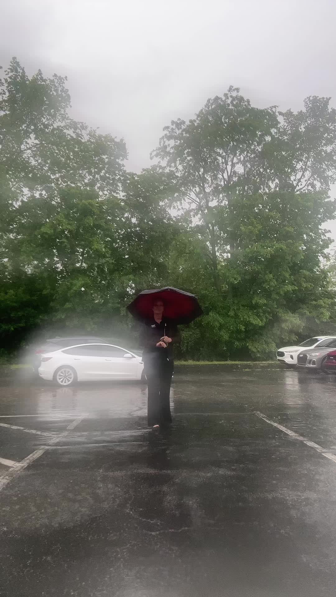 @sunnybabies