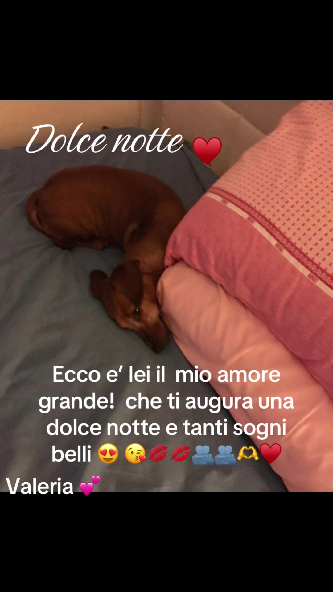 @valeriaevangelis840