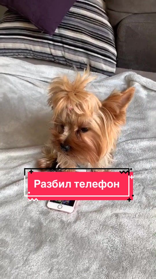 @Йорк Донни 🇺🇦
