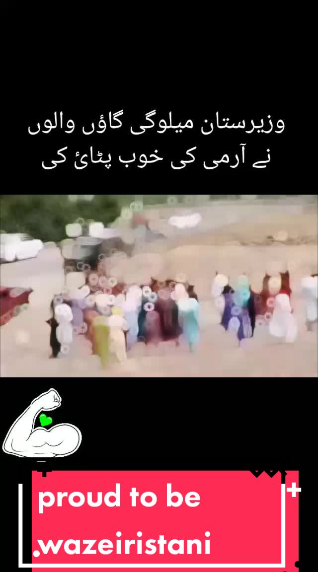 @asifpashteen5
