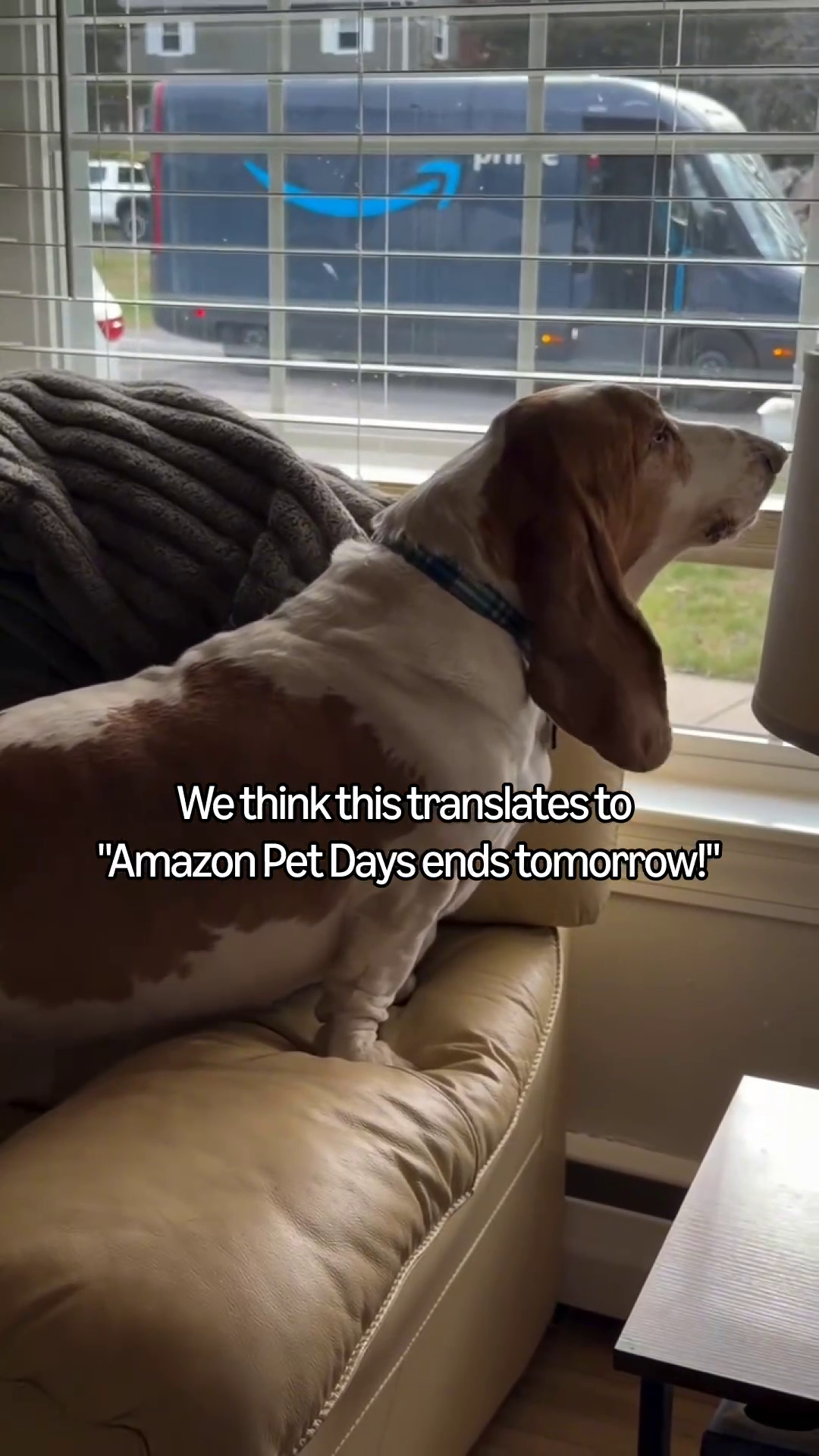 @Amazon