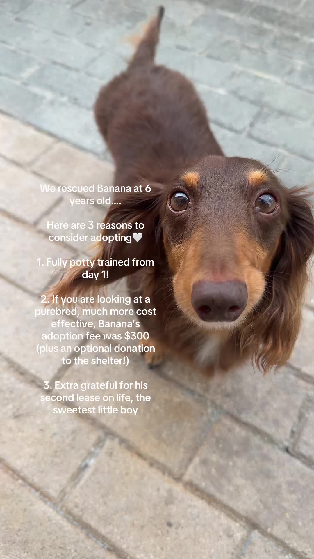 @bananaislong