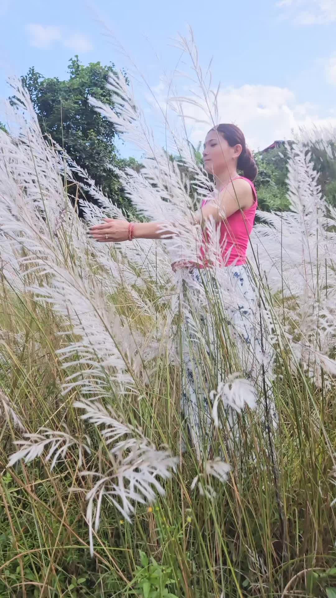 @🕊️