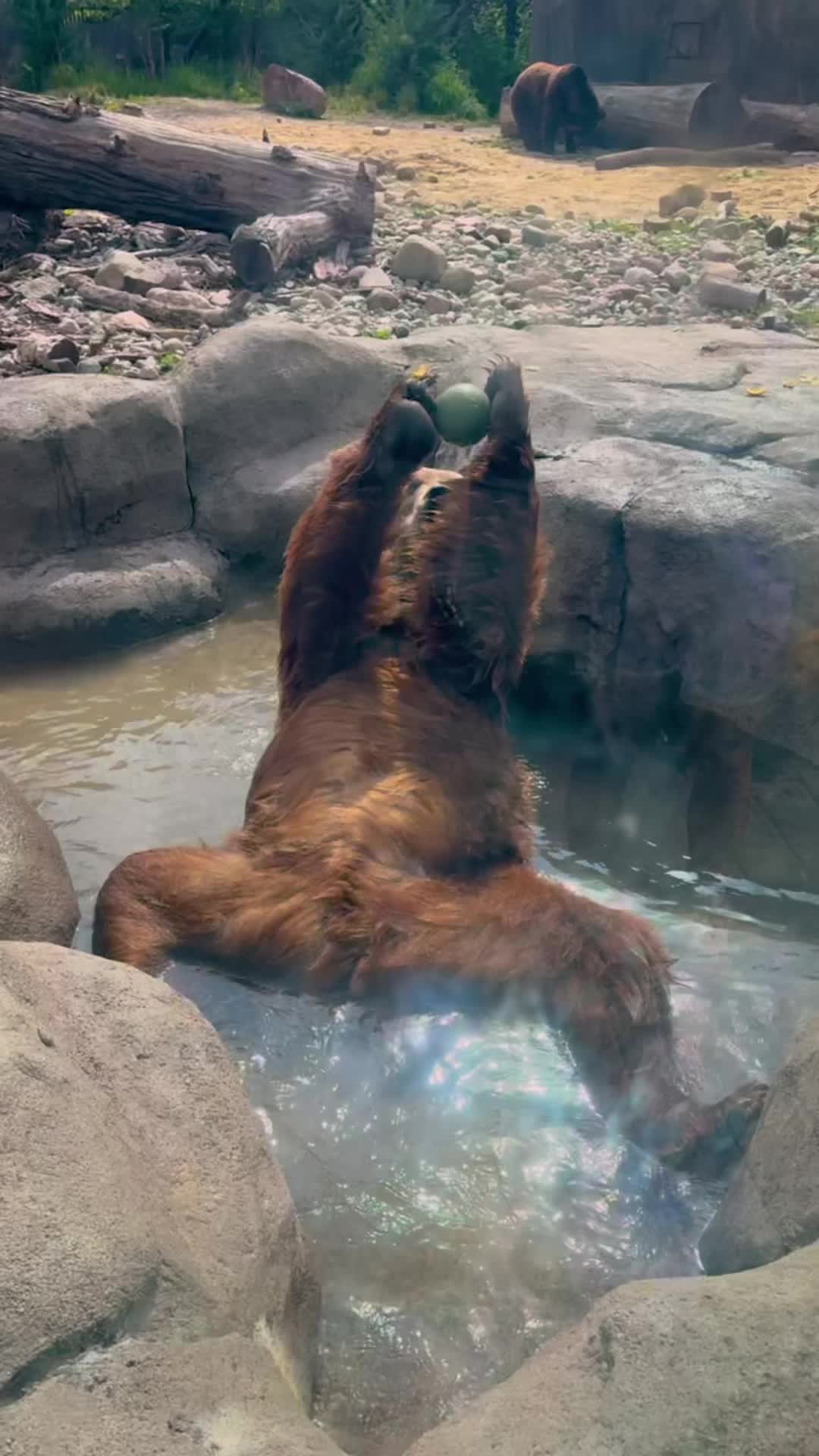 @The Toledo Zoo