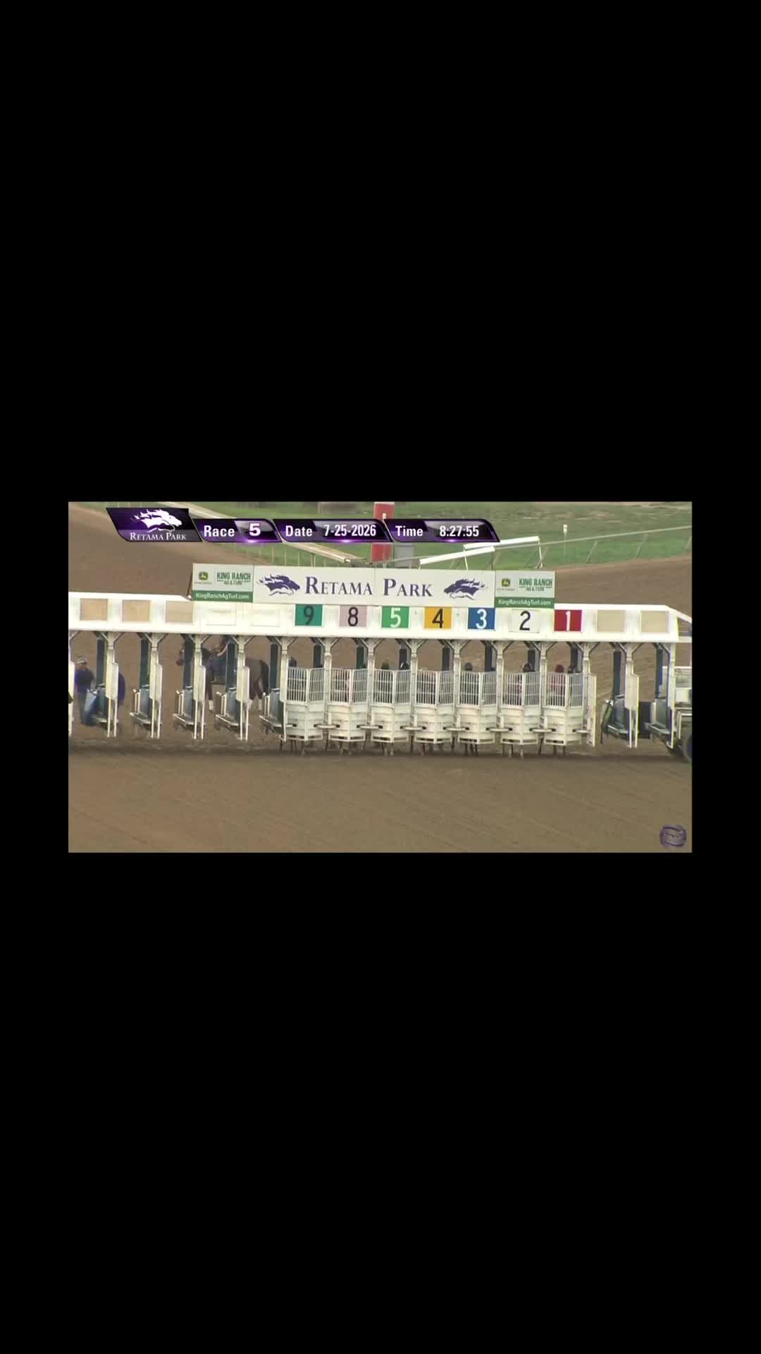 @JM Performance Horses