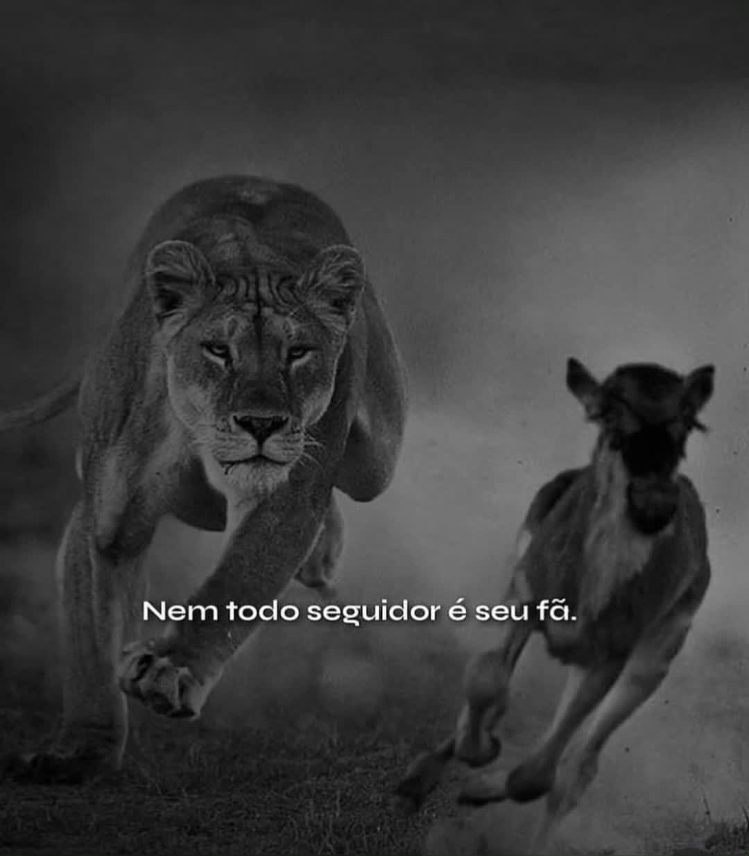 @Marcilio Ramos