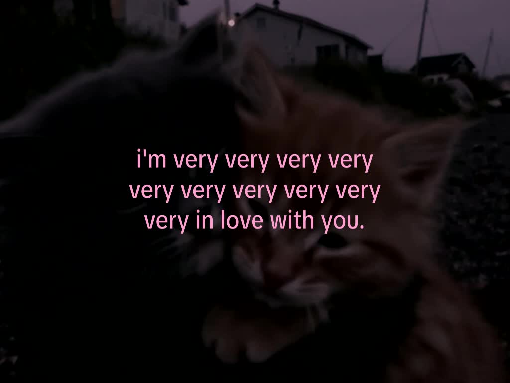 @mond