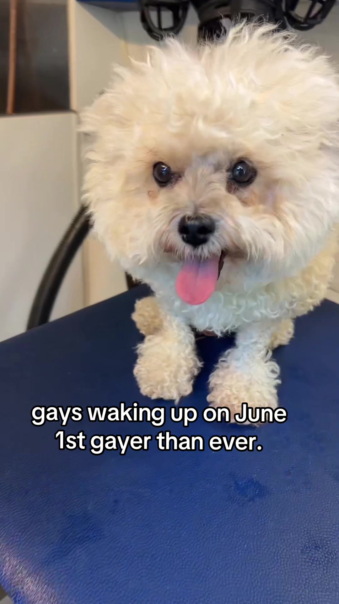 @Katie 🏳️&zwj;🌈