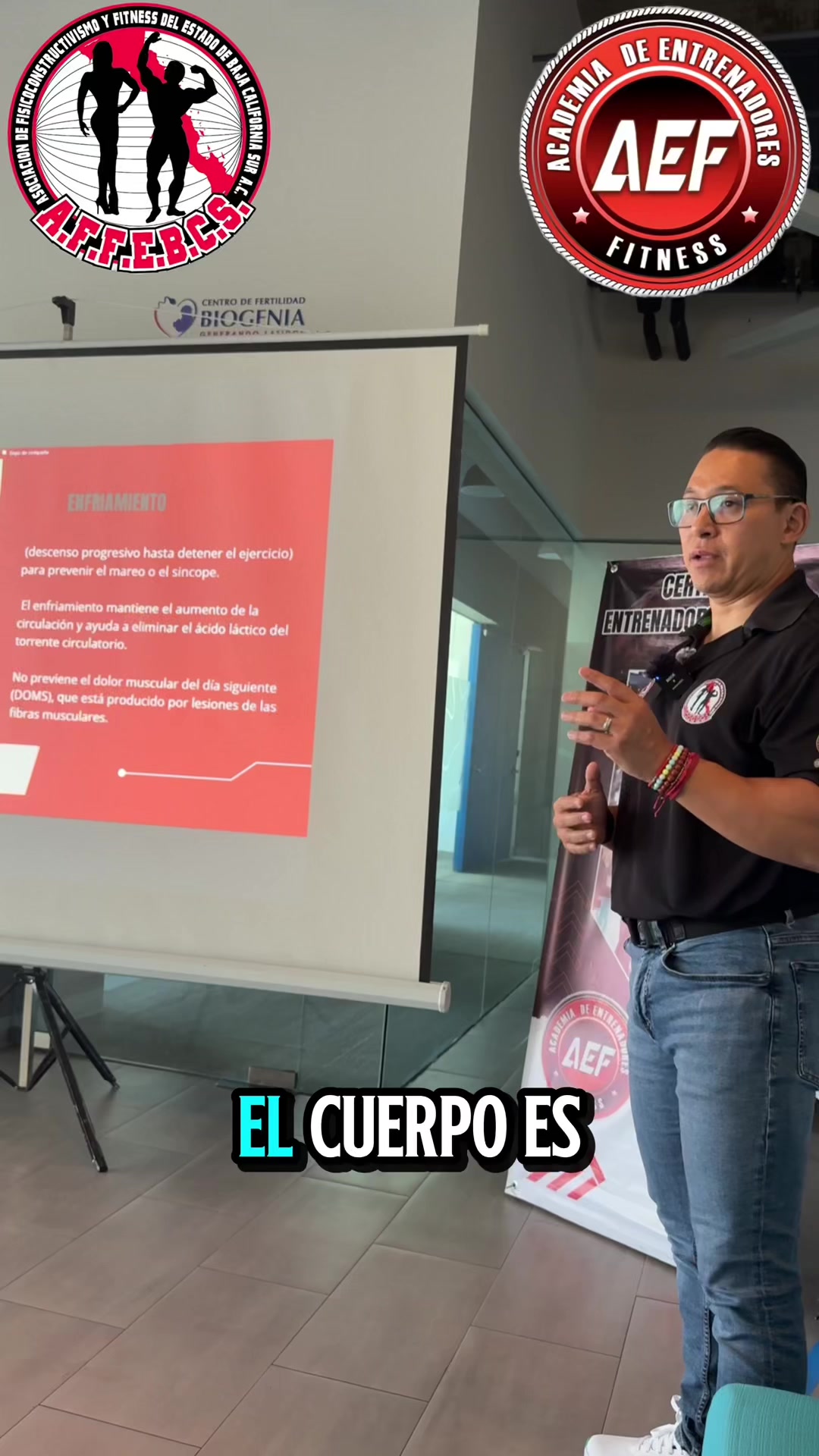 @aef_internacional
