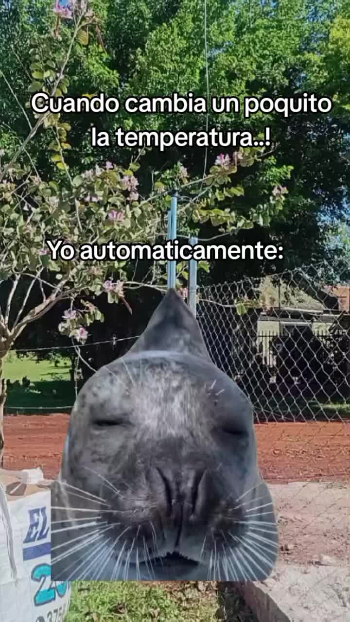 @Fer Rojas