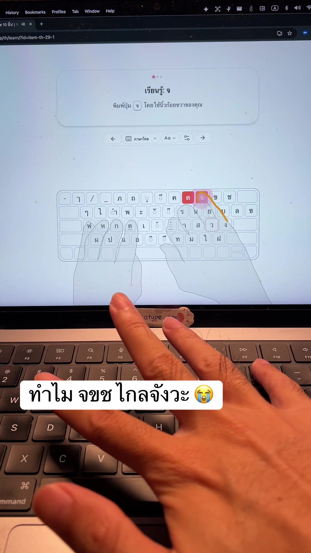 @thuong_studio