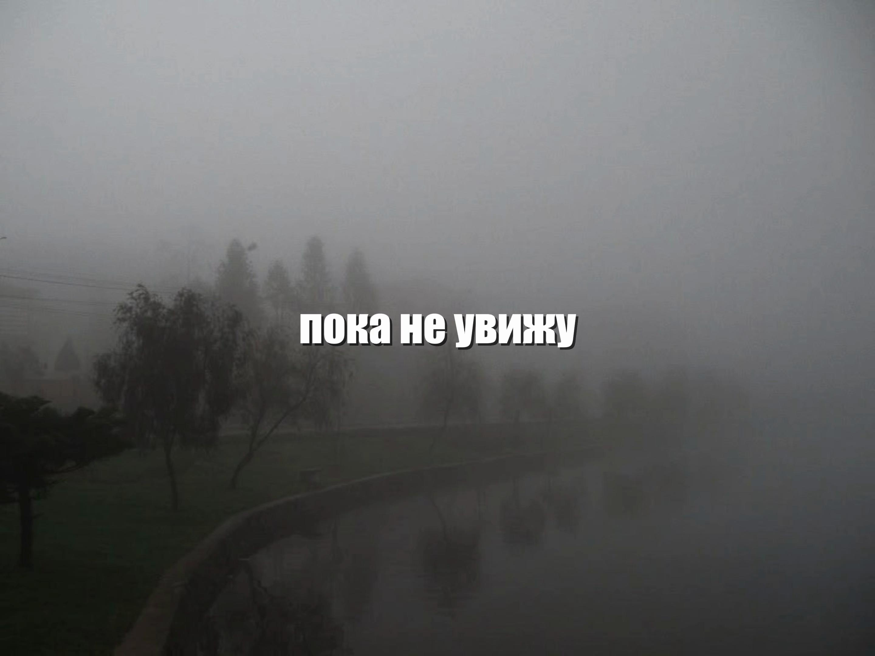 @yasko
