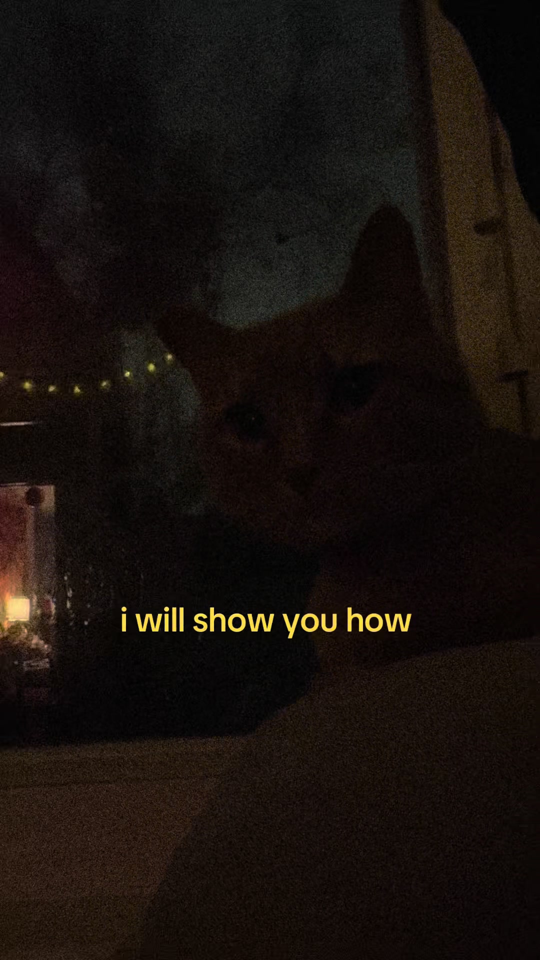 @jane leopardo