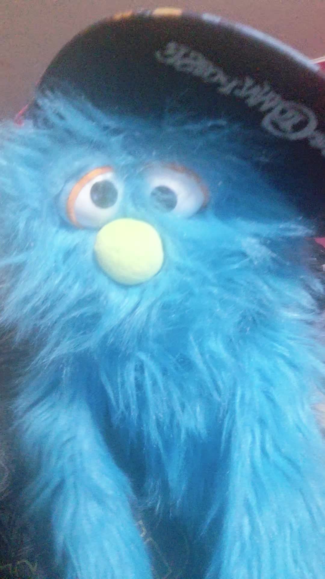 @💙pickelrick/ juggalo Muppet💙