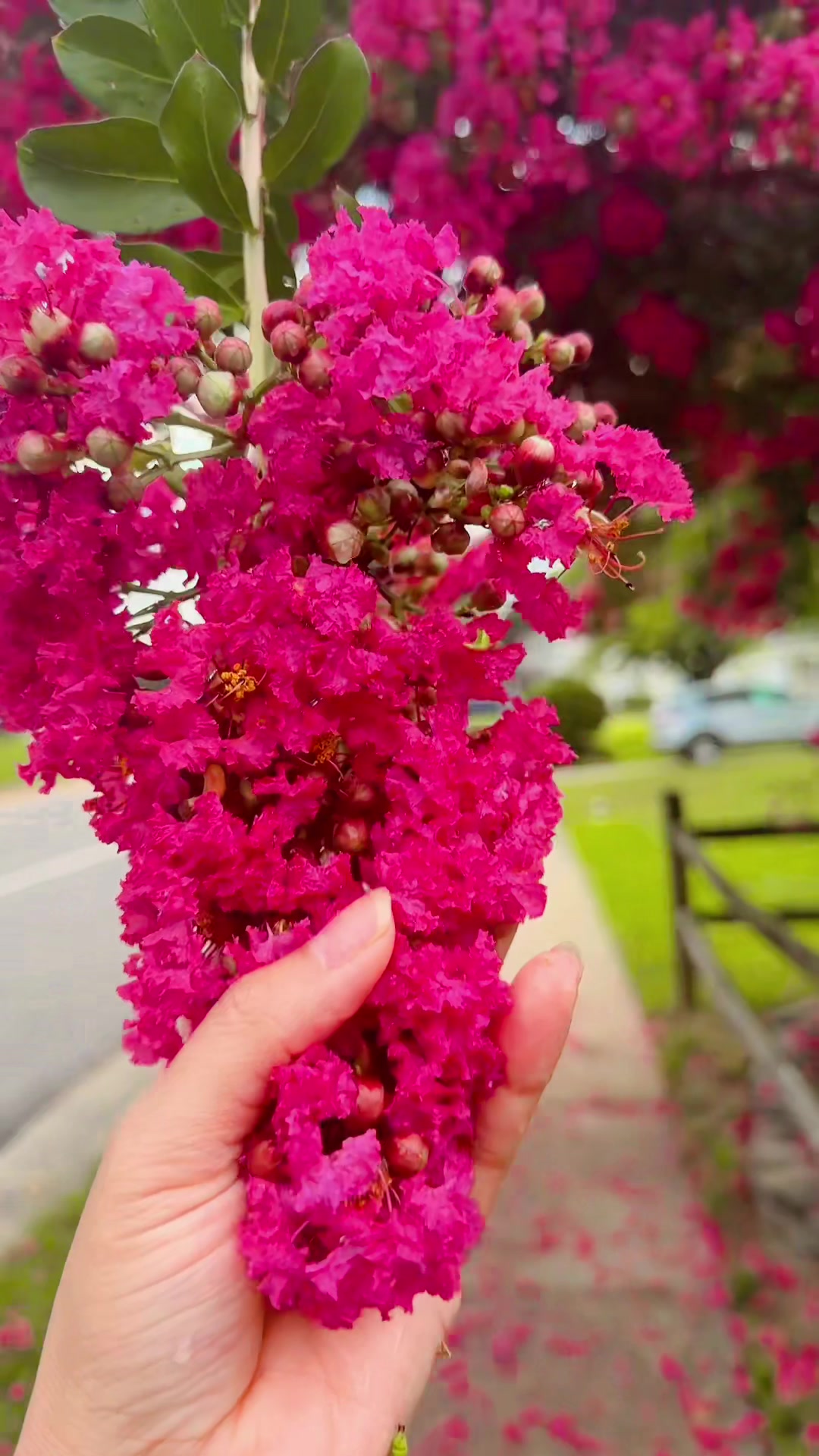 @🥰❤️🥰cute ❤️🥰