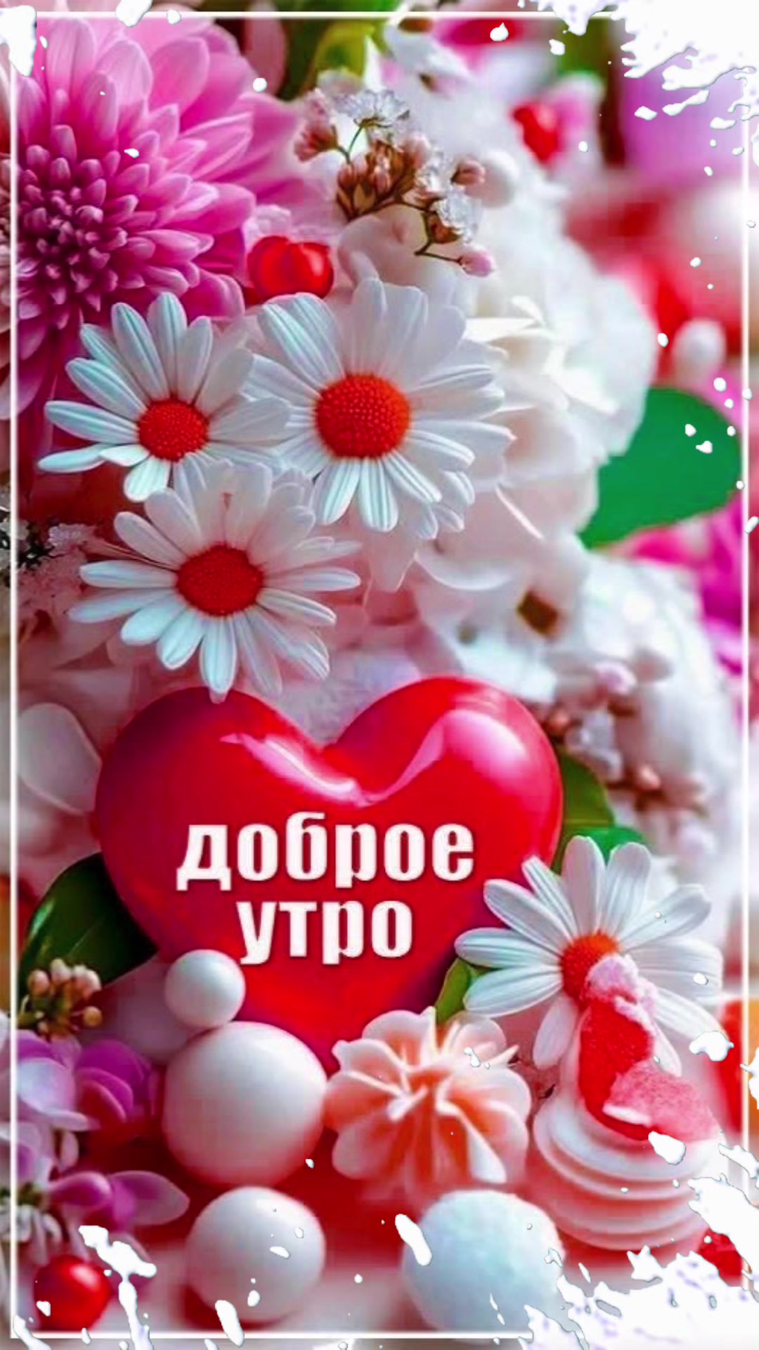 @zulfimysaivna