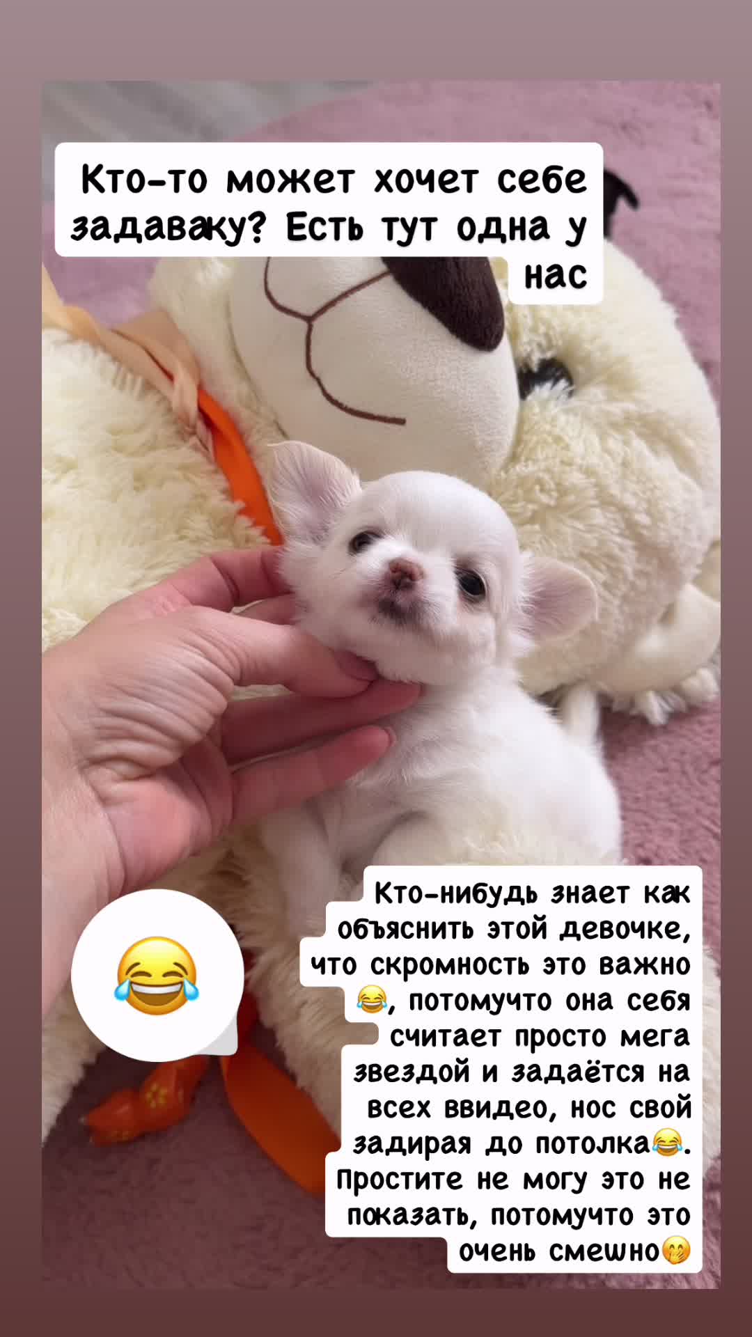 @skarb_palessya