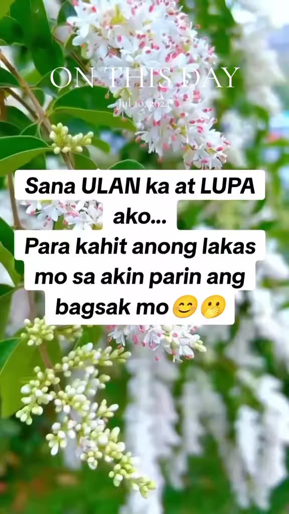 @Buddy Buddy